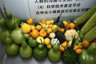 第十五届昆明农博会开幕啦，快收下这份逛展攻略，周末约起！