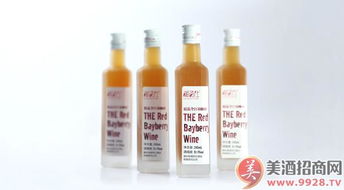 湘西风味，梅香醉人——靖州湘百仕杨梅酒产品展示