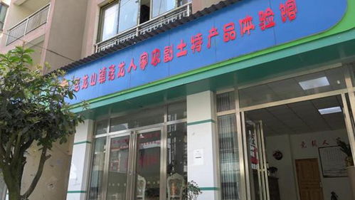 农村致富领头人陈大全 农特产品深加工助推乡村产业发展