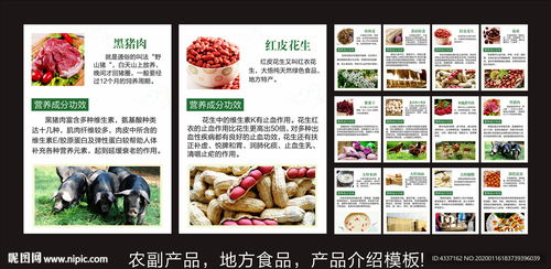 地方农副土特产品介绍与推广模板设计